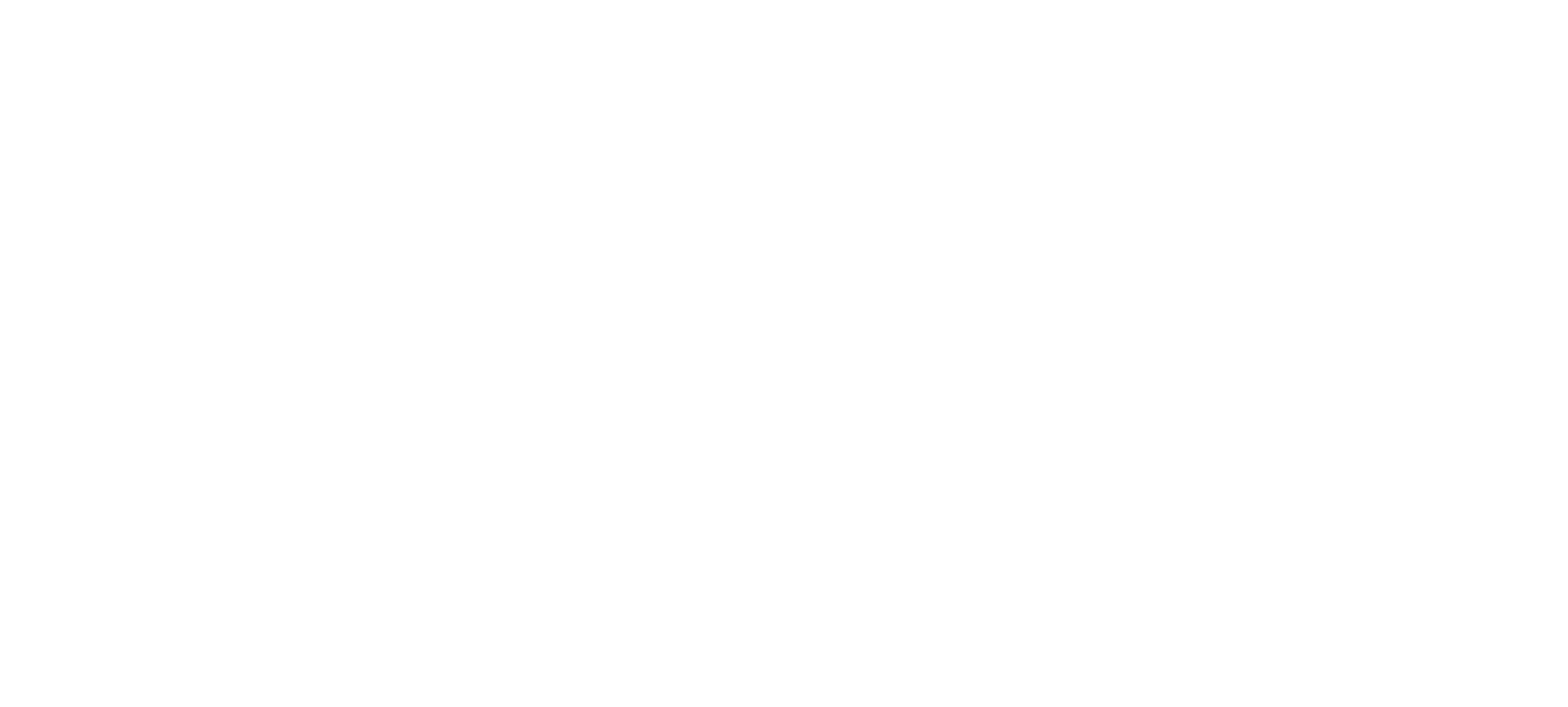 Curity IT Services_White